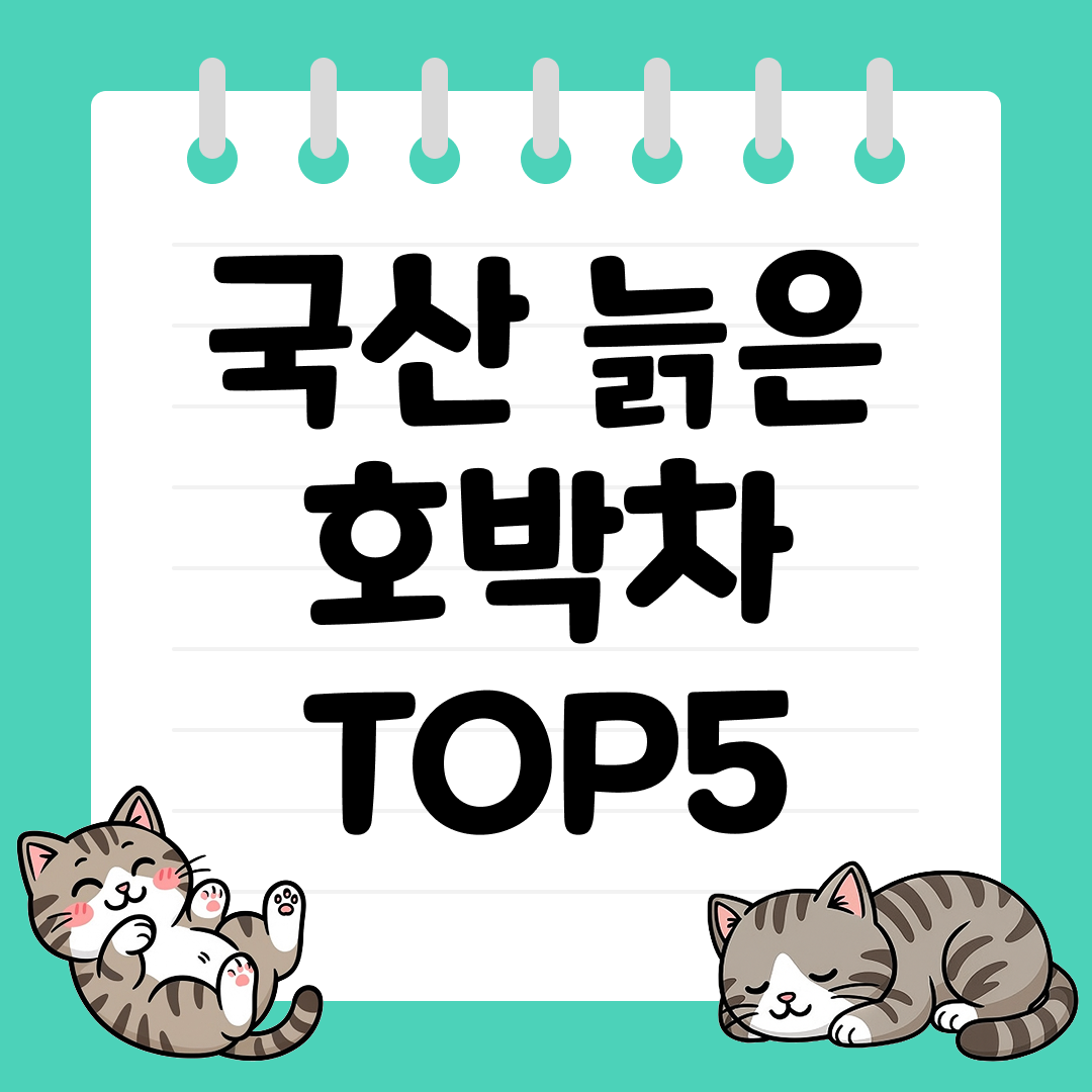 전통의 맛과 영양이 담긴 국산 늙은 호박차 추천 TOP5