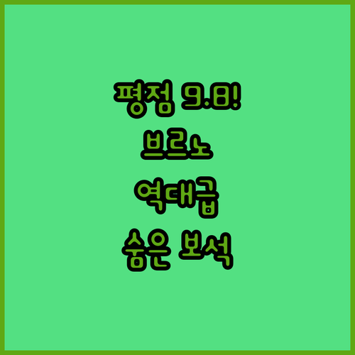 청결도 평점 9.8 실화인가요 브르노..