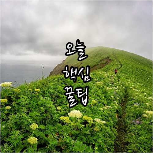 의왕시 2025 농산물 포장재 사업 ..