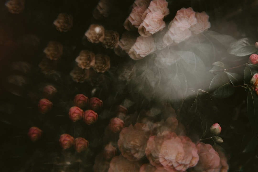 Expiration