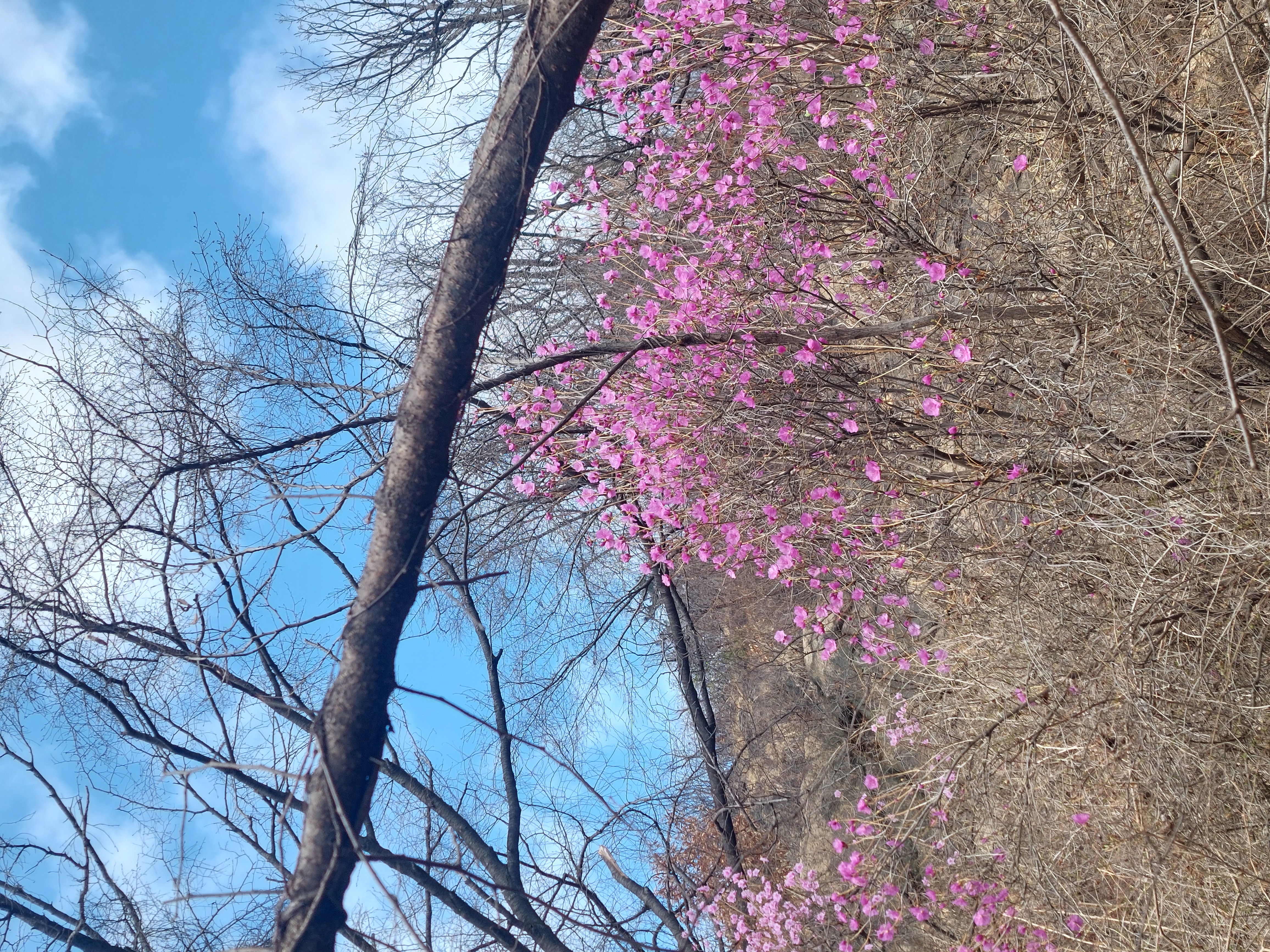안산