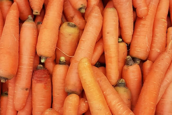 공복에 좋은 음식