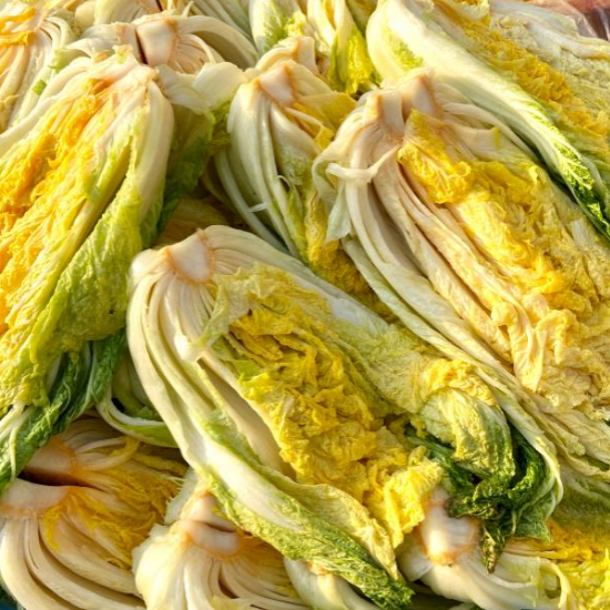 이마트 절임배추 사전예약 20kg 가격 할인 혜택8