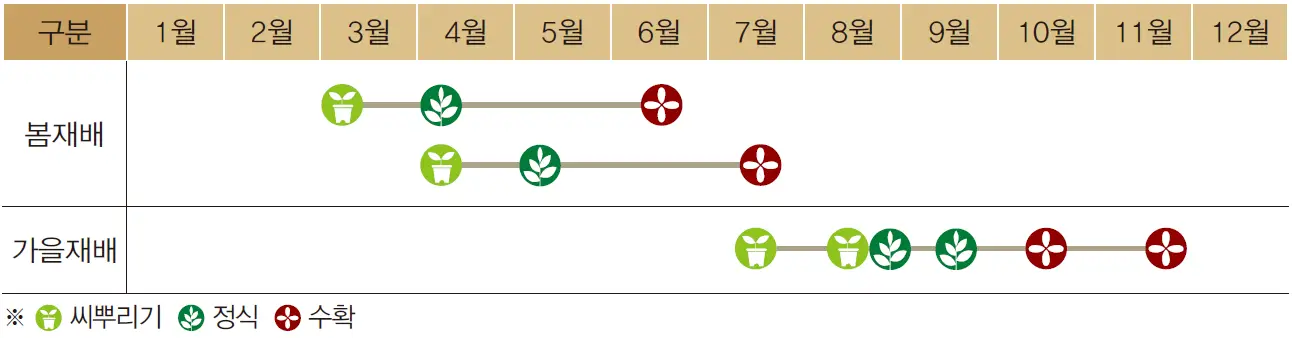 김장배추 심는 시기