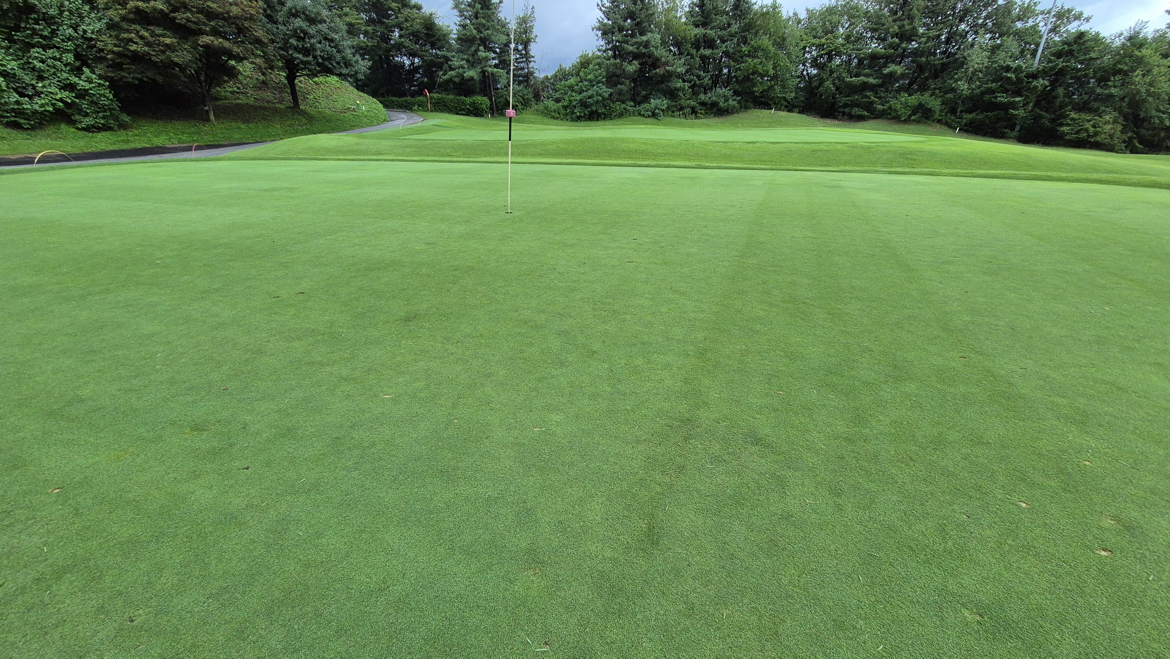 뉴서울cc 예술in-문화in 코스 라운드 후기