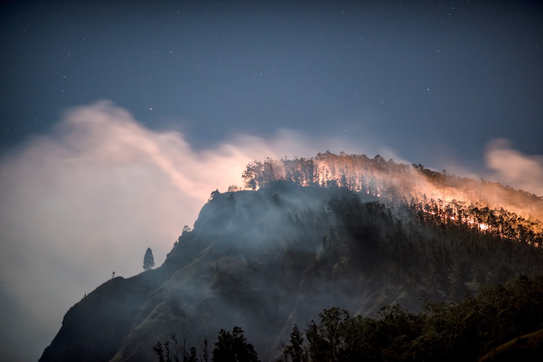 Wildfire