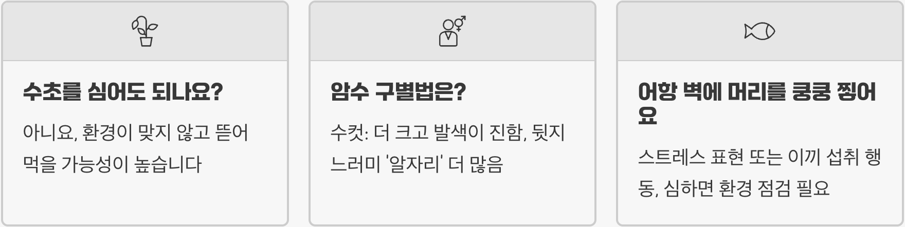바나나 시클리드 키우기 A to Z (어항, 먹이, 수질 관리)