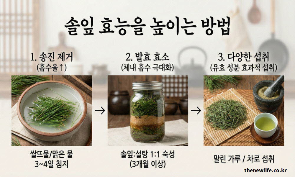 솔잎 효능의 흡수율을 높이는 위해 섭취 방법과 손질 과정을 설명하는 이미지