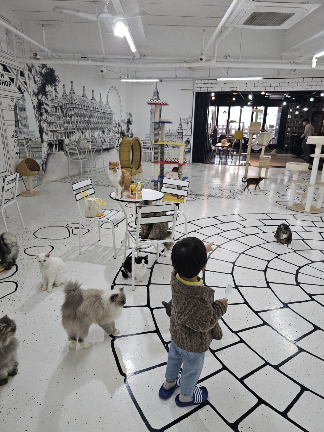 야옹이네 고양이 카페