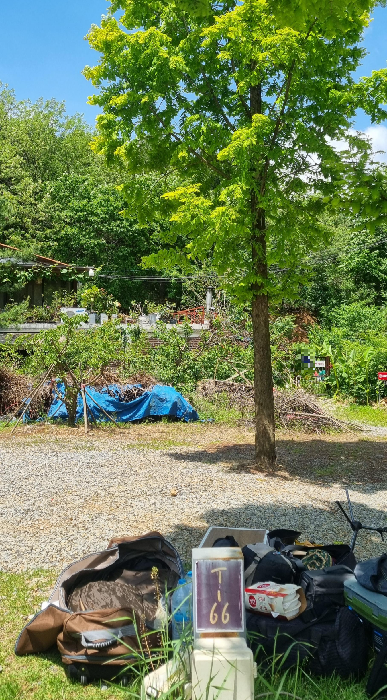 김포캠핑파크 / T66 사이트