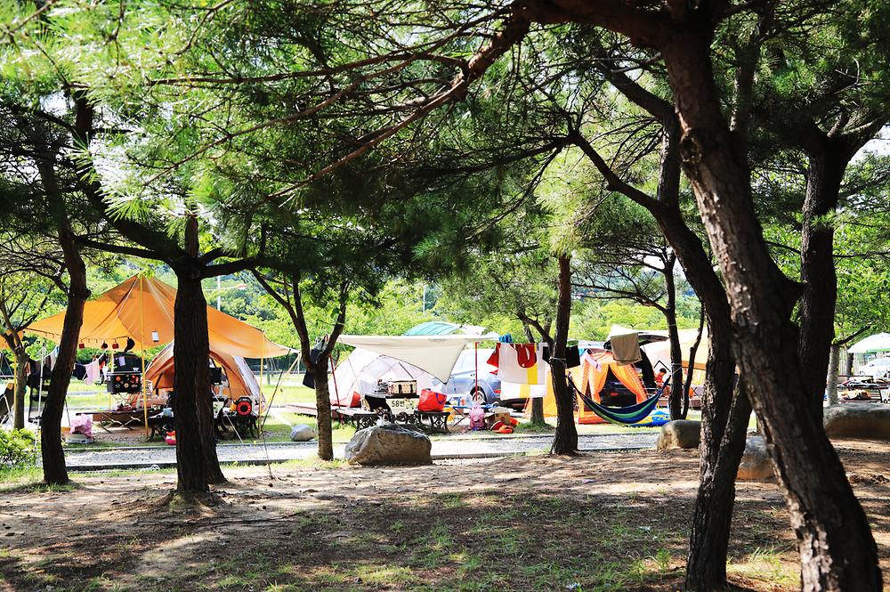 레전드 캠핑장 송지호오토캠핑장 소개