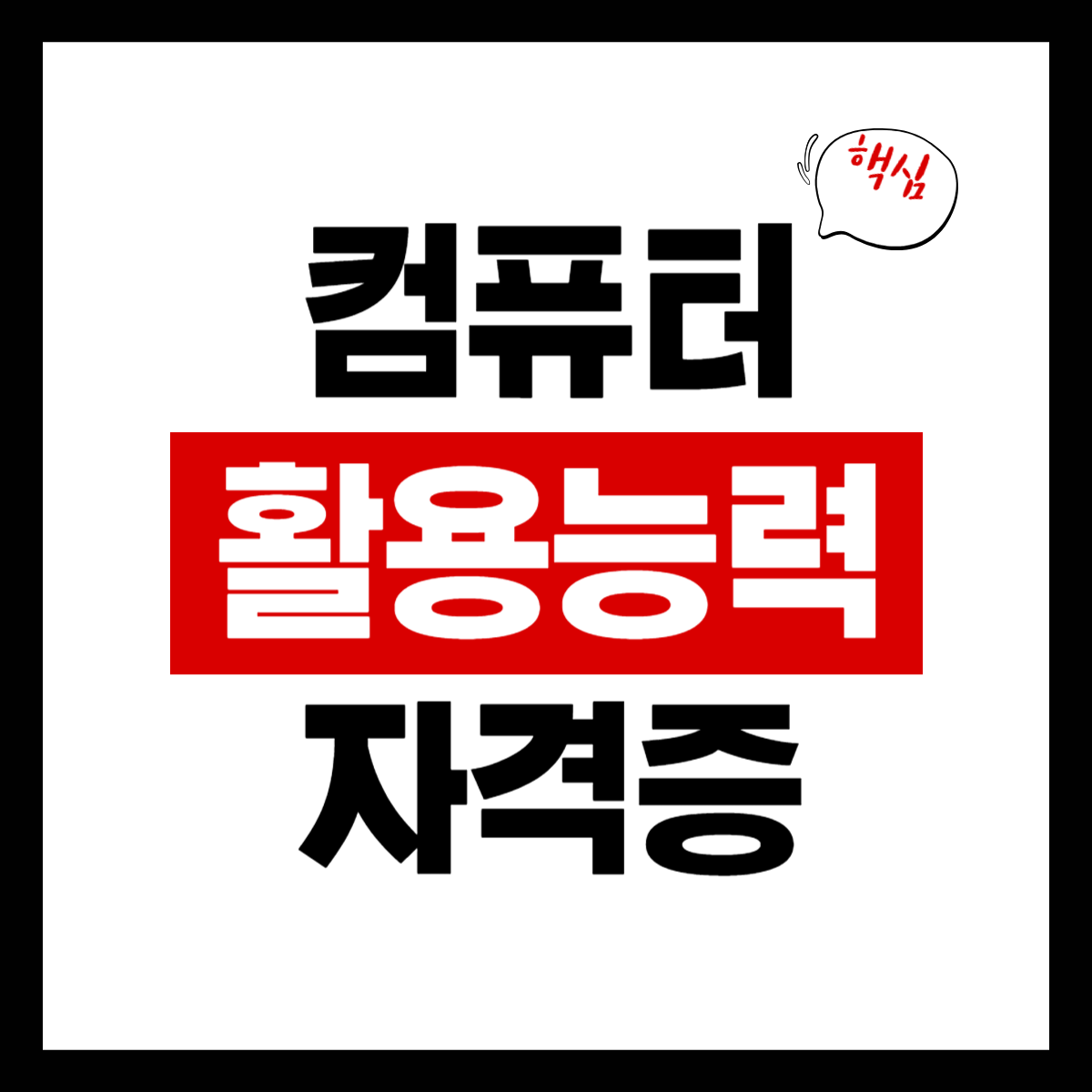 컴퓨터 활용능력