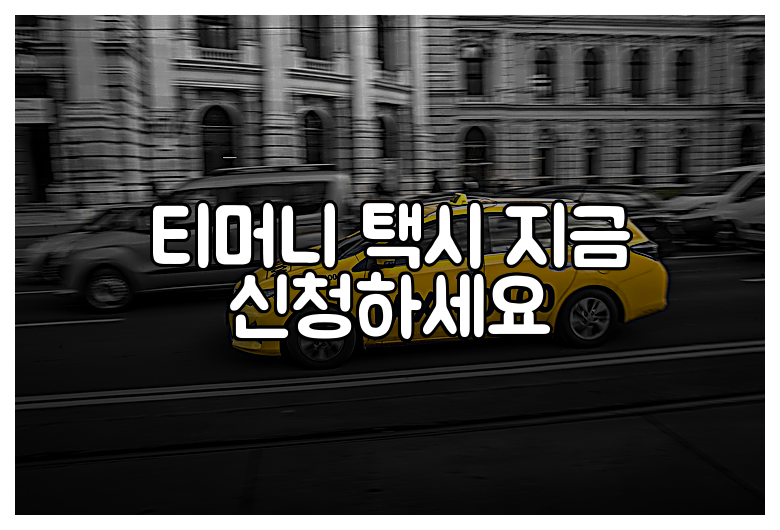 티머니 택시 지금 신청하세요
