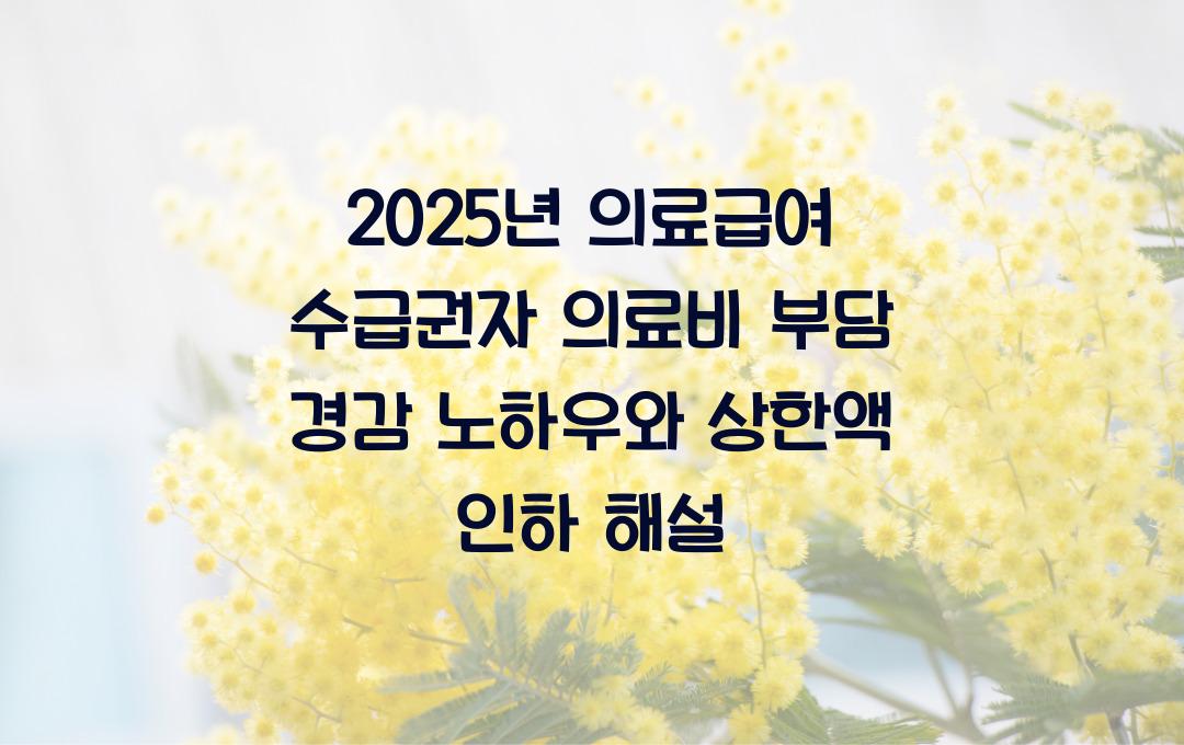 2025년 의료급여 수급권자 의료비 부담 경감, 본인부담 상한액 인하
