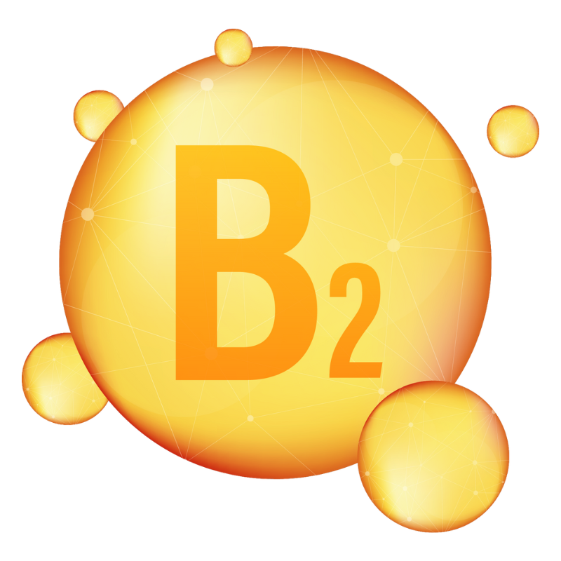 비타민 B 일일 권장량