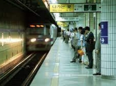 동백전 동백패스 이벤트 신청