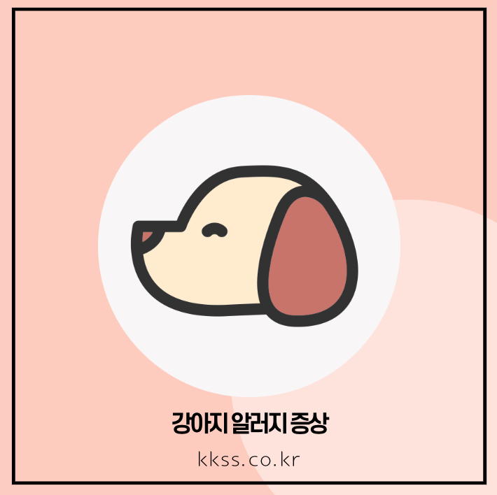 강아지 알러지 증상