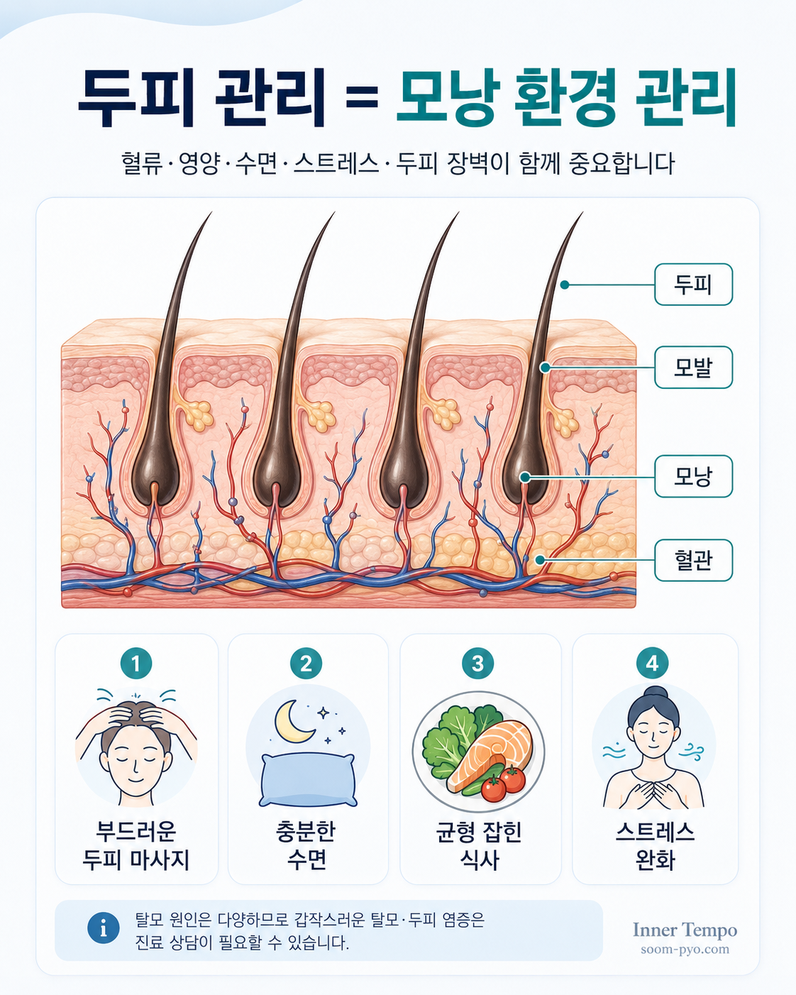 두피 건강 관리
