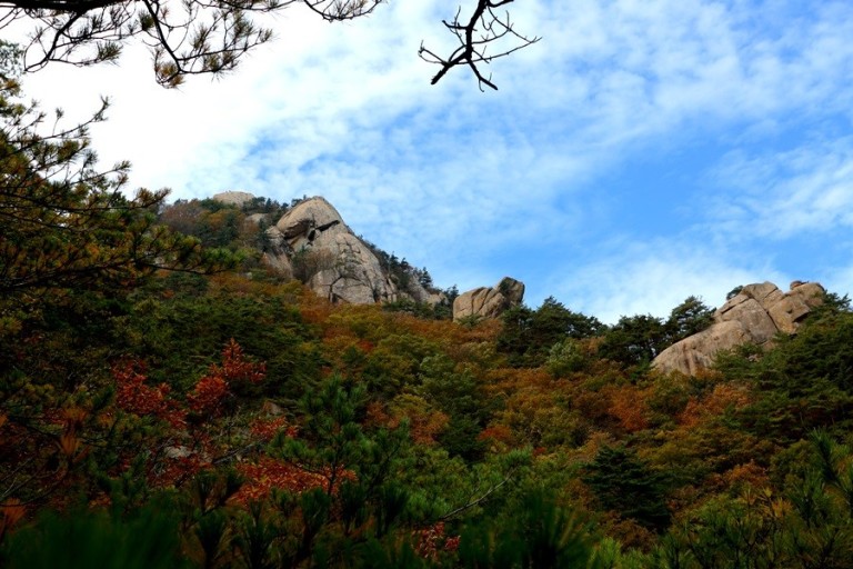 속리산 단풍시기
