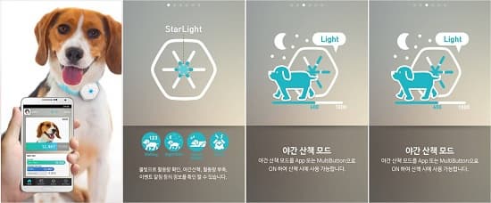 비대면 반려동물 헬스케어 - 비대면 센서를 활용한 반려동물 건강 모니터링은 어떻게 이루어질까?