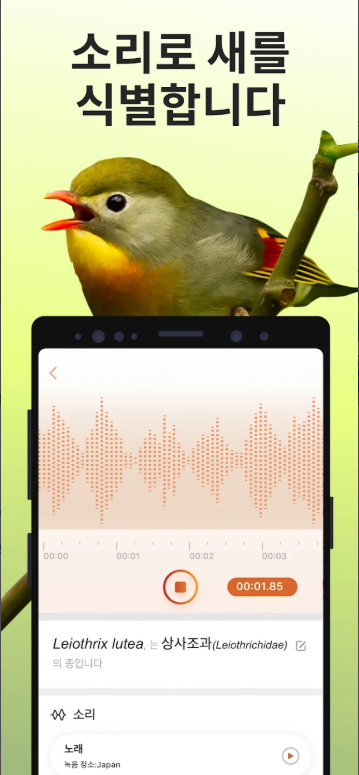 조류 이름 찾기 어플, 새 이름 검색하기, 조류 식별, Picture Bird