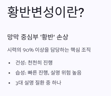 황반변성