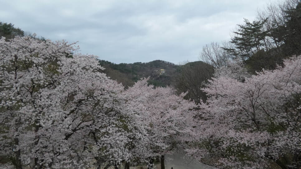 100대 명산 등산하기 서른한번째 진안 마이산 기묘한 돌산이 들려주는 자연과 시간의 이야기