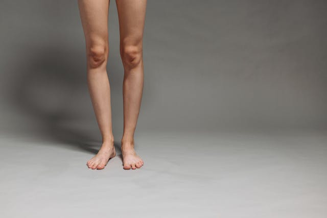 다리