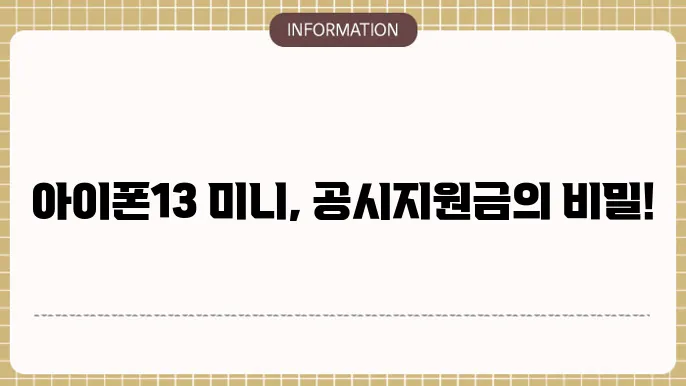 아이폰13 미니 공시지원금