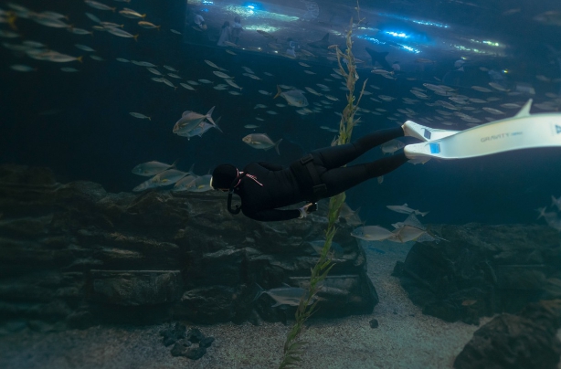 제주도에서 비 오는 날 갈만한 곳 5곳