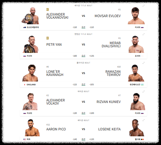 UFC 333