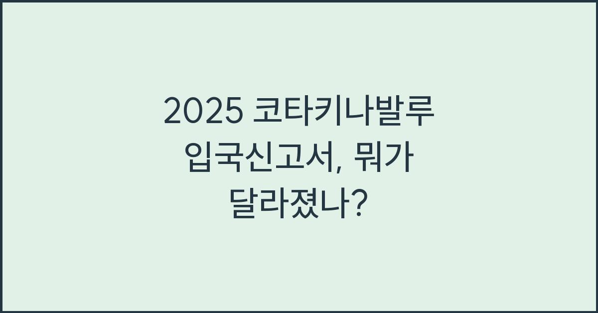 2025 코타키나발루 입국신고서