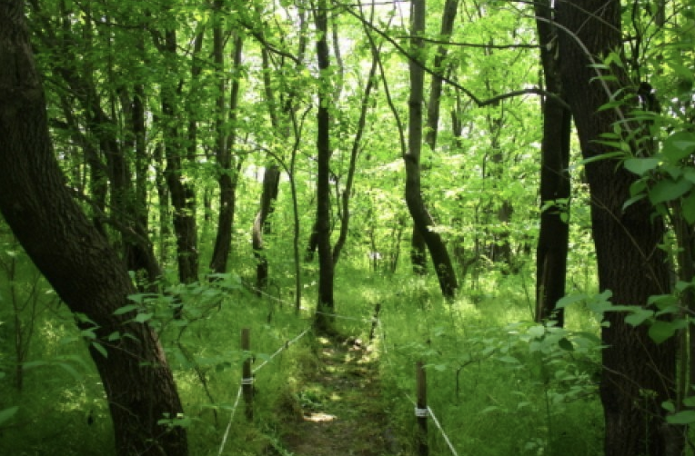 고덕 수변생태공원 이미지