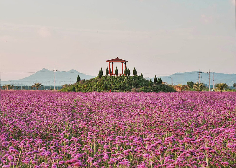태안군 제2파크골프장. 태안군파크골프장의 제2구장