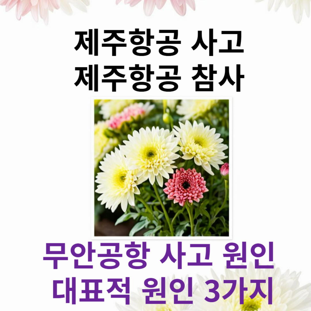 제주항공 사고 원인 3가지 ❘ 제주항공 참사 ❘ 무안공항 사고 ❘ 사고 보상금