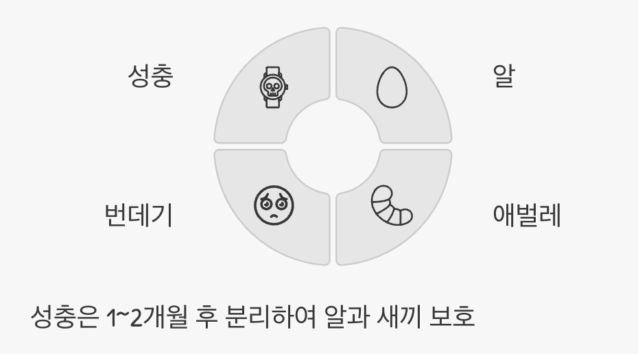 무한 리필의 비밀&amp;#44; 순환의 완성