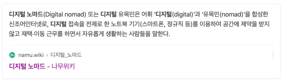 디지털노마드-뜻