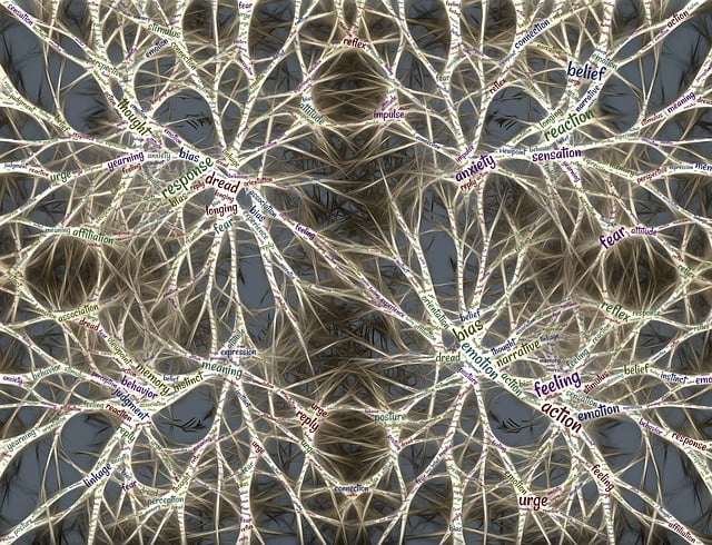 프로이트 3요소 관련 사진