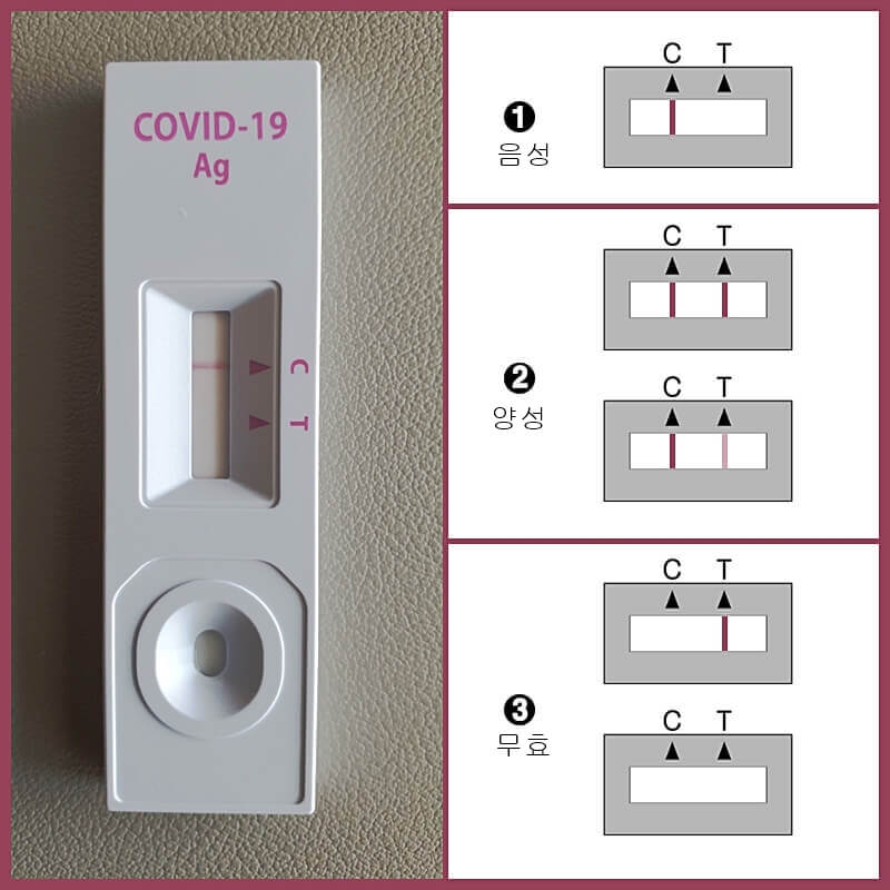 자가진단-키트-결과