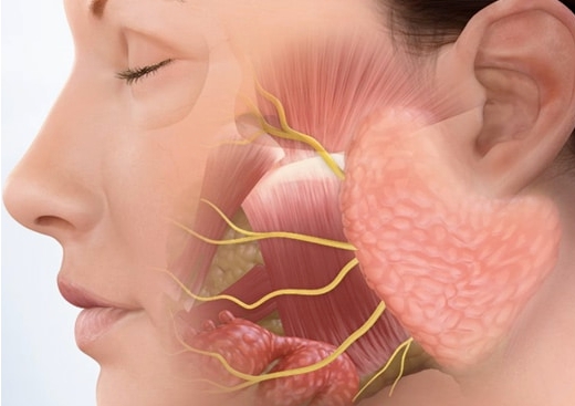 귀밑 몽우리 원인