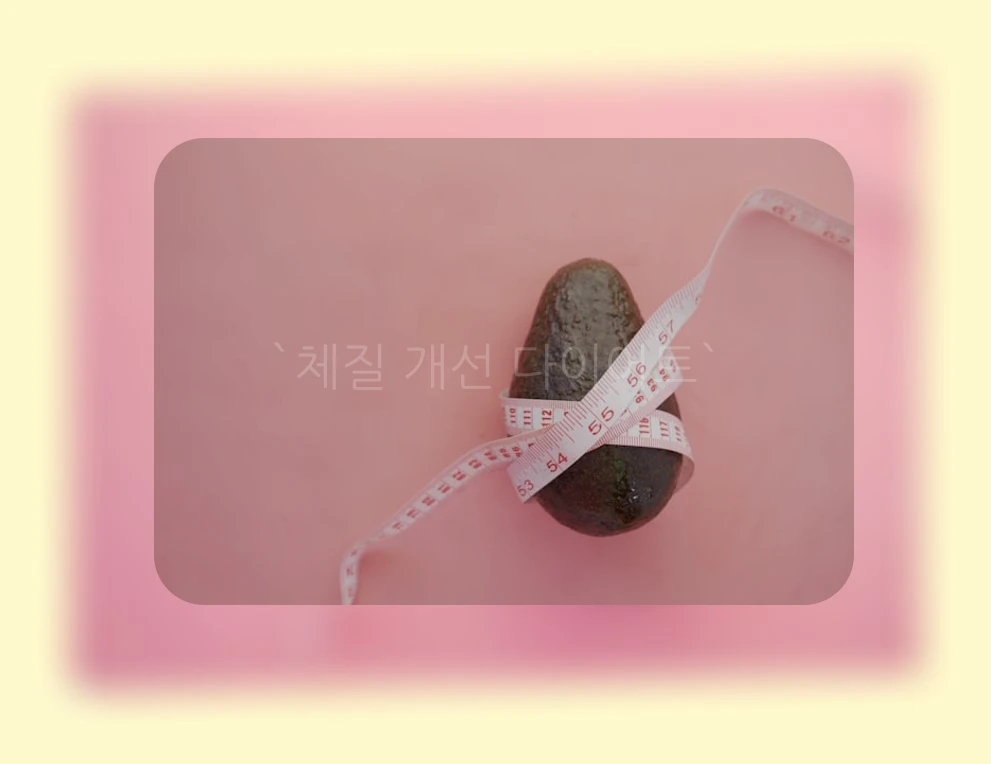 체질 개선 다이어트_2_subsection