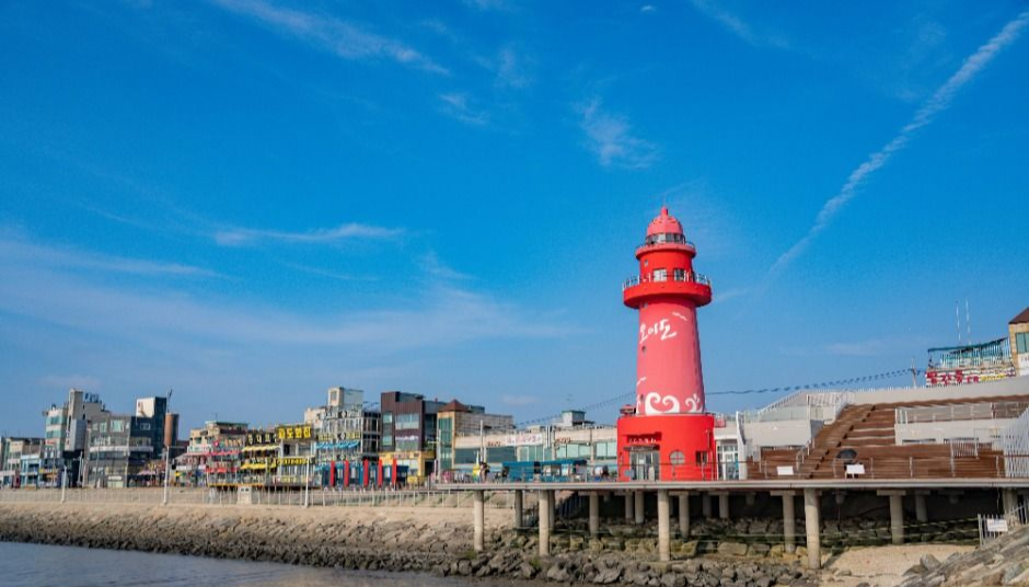 서해안 반려견 겨울 나들이 명소, 강아지와 함께 걷기 좋은 바다 산책