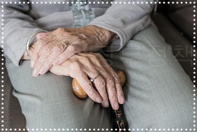 2025년 무직자 정부 지원 정책 완전정리