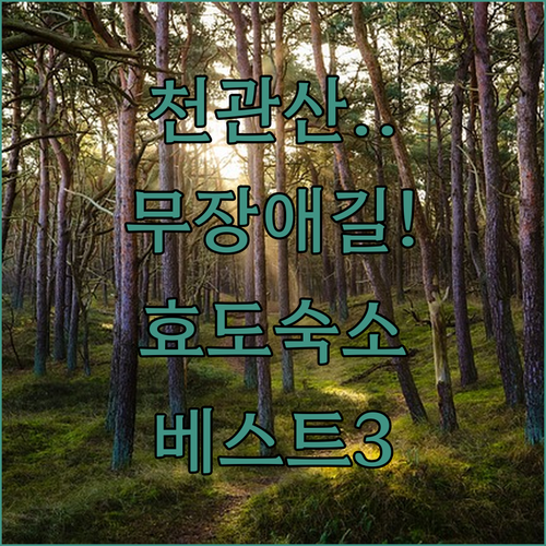 전남 장흥 천관산 자연휴양림 무장애 ..