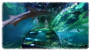 괌 언더 워터 월드