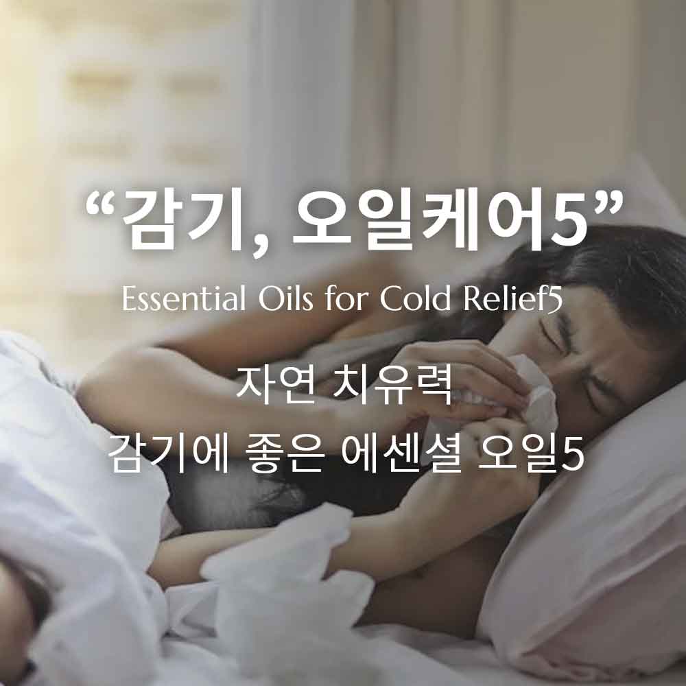 감기에 도움을 주는 에센셜 오일 5가지, 자연의 힘으로 면역력 강화하기