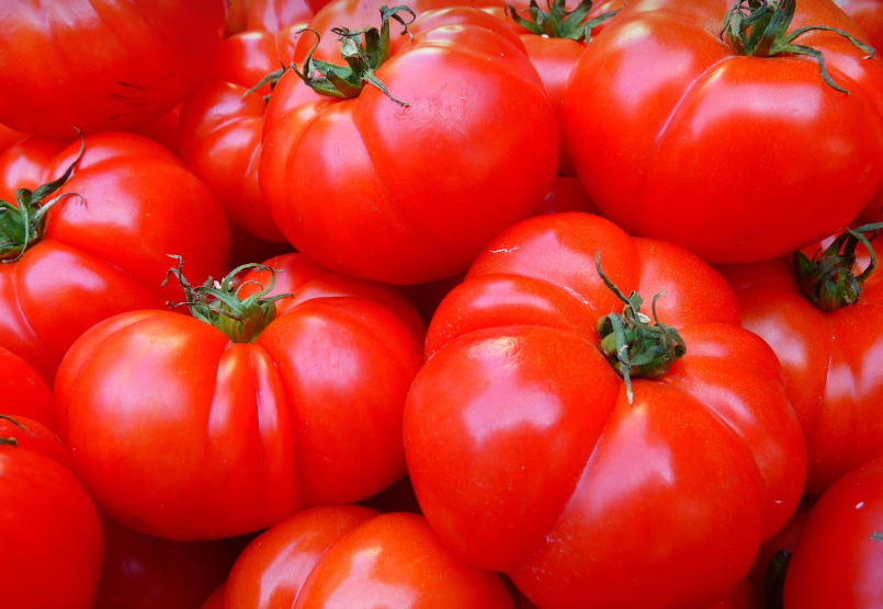 라 토마티나: 스페인의 토마토 전쟁