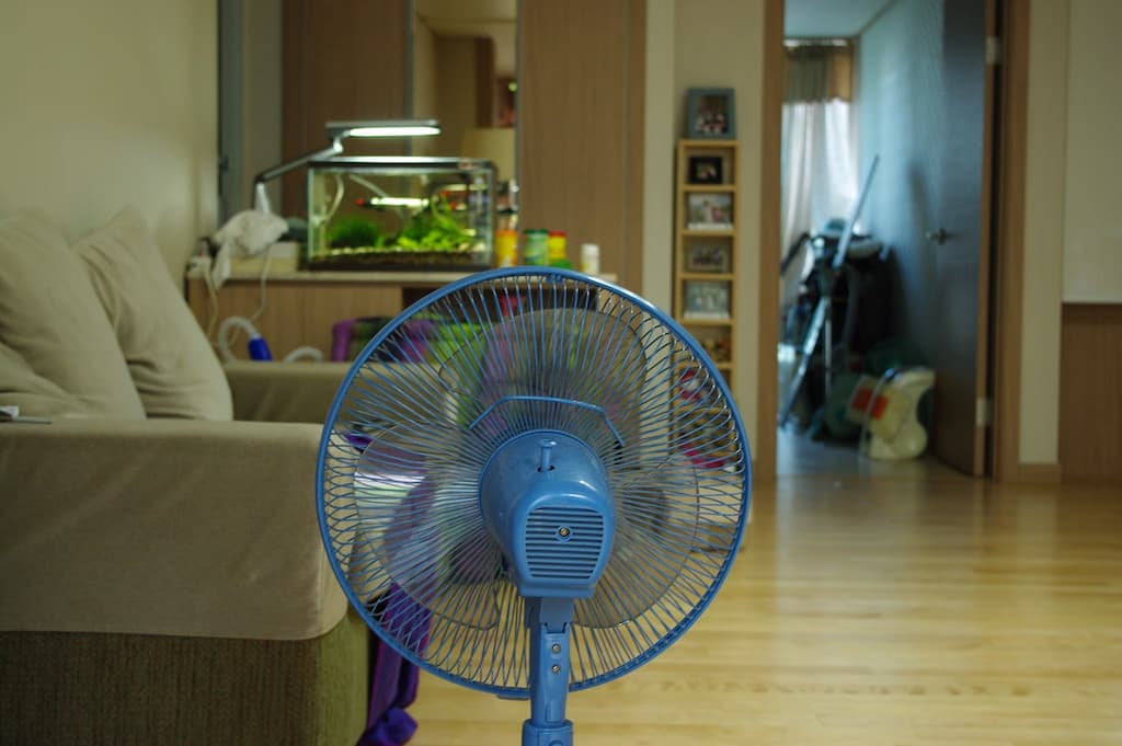 거실에 놓여져 있는 선풍기
