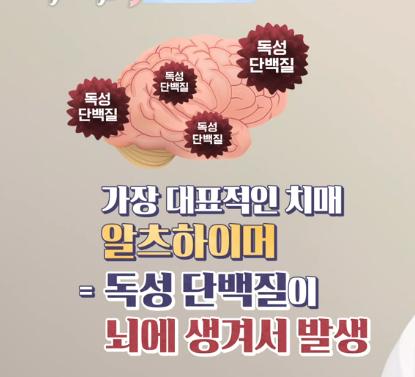 포스파티딜세린 효능