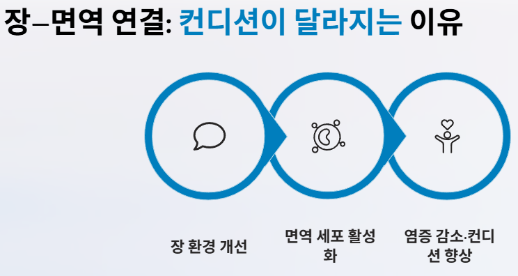 포도 효능